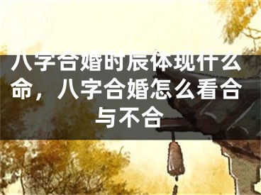 八字合婚时辰体现什么命，八字合婚怎么看合与不合
