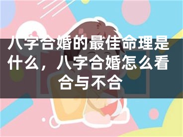 八字合婚的最佳命理是什么，八字合婚怎么看合与不合