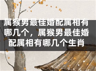 属猴男最佳婚配属相有哪几个,属猴男最佳婚配属相有哪几个生肖