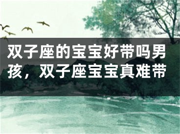 双子座的宝宝好带吗男孩，双子座宝宝真难带
