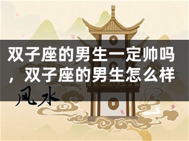 双子座的男生一定帅吗，双子座的男生怎么样