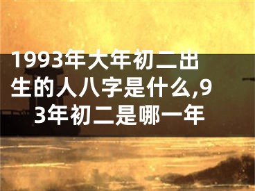 1993年大年初二出生的人八字是什么,93年初二是哪一年