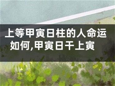 上等甲寅日柱的人命运如何,甲寅日干上寅