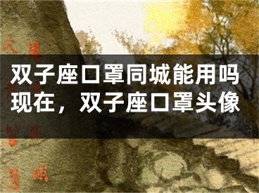 双子座口罩同城能用吗现在,双子座口罩头像