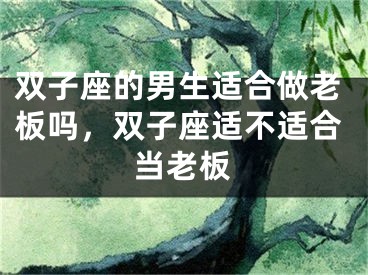 双子座的男生适合做老板吗，双子座适不适合当老板