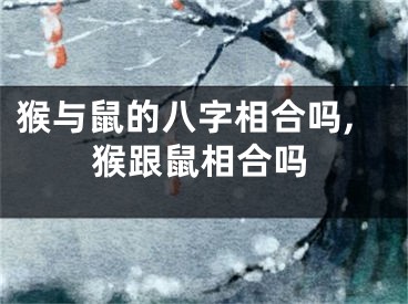 猴与鼠的八字相合吗,猴跟鼠相合吗