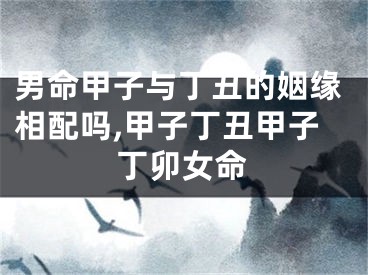 男命甲子与丁丑的姻缘相配吗,甲子丁丑甲子丁卯女命