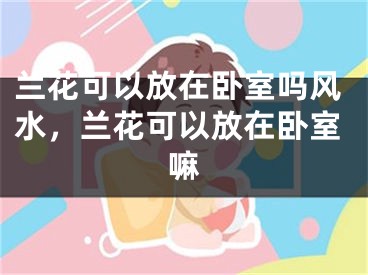 兰花可以放在卧室吗风水，兰花可以放在卧室嘛