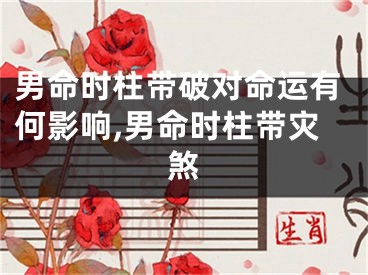 男命时柱带破对命运有何影响,男命时柱带灾煞