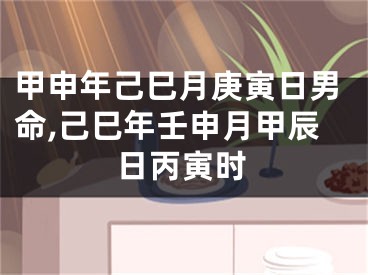 甲申年己巳月庚寅日男命,己巳年壬申月甲辰日丙寅时
