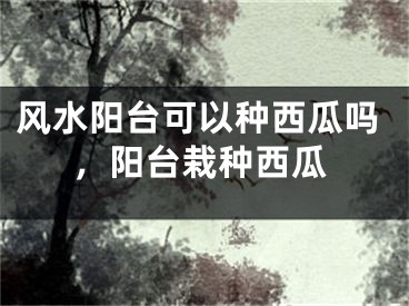 风水阳台可以种西瓜吗，阳台栽种西瓜