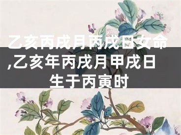 乙亥丙戌月丙戌日女命,乙亥年丙戌月甲戌日生于丙寅时
