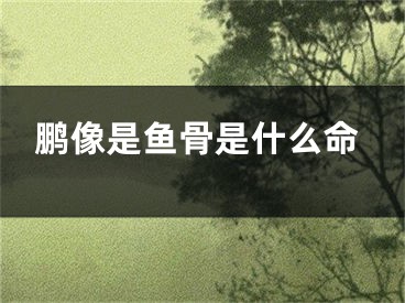 鹏像是鱼骨是什么命