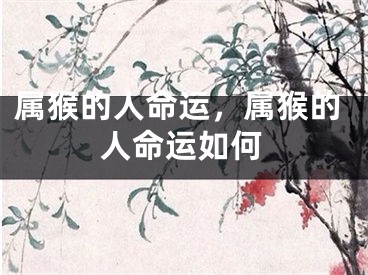 属猴的人命运,属猴的人命运如何