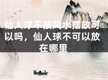 仙人球不按风水摆放可以吗，仙人球不可以放在哪里