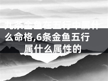 九条金鱼在五行中属什么命格,6条金鱼五行属什么属性的