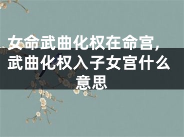 女命武曲化权在命宫,武曲化权入子女宫什么意思