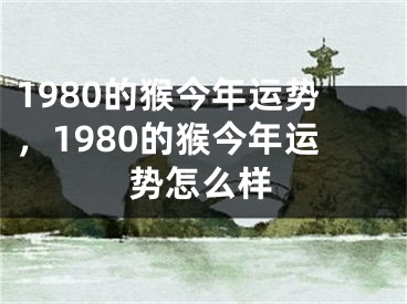 1980的猴今年运势,1980的猴今年运势怎么样