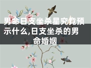 男命日支坐杀星究竟预示什么,日支坐杀的男命婚姻