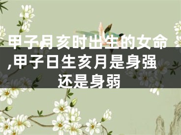 甲子月亥时出生的女命,甲子日生亥月是身强还是身弱