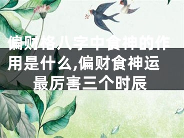 偏财格八字中食神的作用是什么,偏财食神运最厉害三个时辰