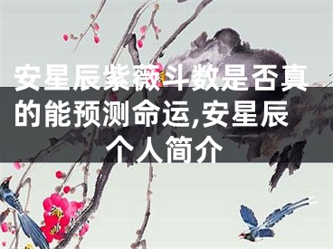 安星辰紫薇斗数是否真的能预测命运,安星辰个人简介