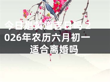 今日是黄道吉日吗 2026年农历六月初一适合离婚吗