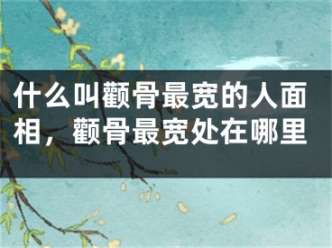 什么叫颧骨最宽的人面相,颧骨最宽处在哪里