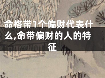 命格带1个偏财代表什么,命带偏财的人的特征