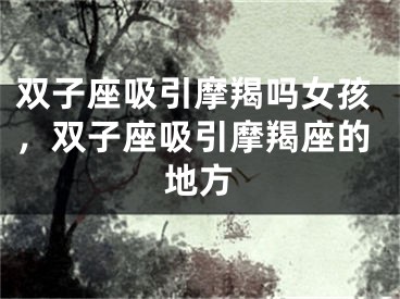 双子座吸引摩羯吗女孩，双子座吸引摩羯座的地方