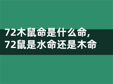 72木鼠命是什么命,72鼠是水命还是木命