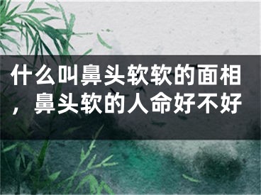 什么叫鼻头软软的面相,鼻头软的人命好不好