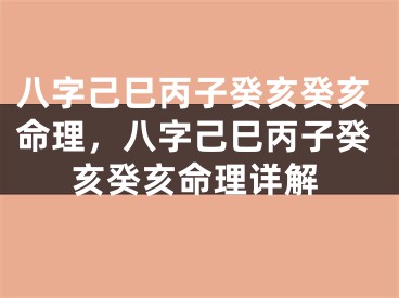 八字己巳丙子癸亥癸亥命理，八字己巳丙子癸亥癸亥命理详解