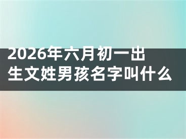 2026年六月初一出生文姓男孩名字叫什么