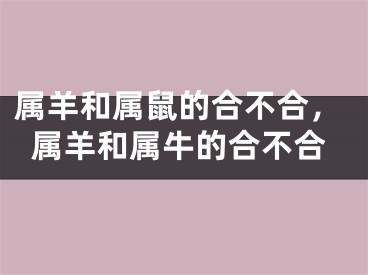 属羊和属鼠的合不合,属羊和属牛的合不合