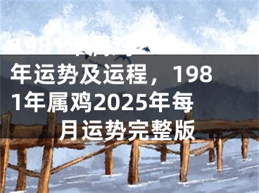 1981年属鸡202年运势及运程，1981年属鸡2025年每月运势完整版