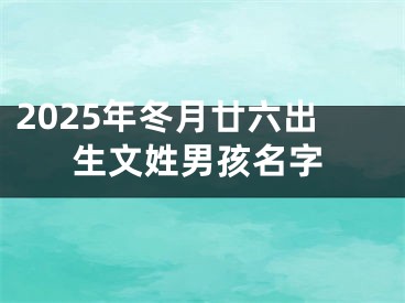 2025年冬月廿六出生文姓男孩名字