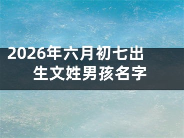 2026年六月初七出生文姓男孩名字