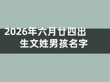 2026年六月廿四出生文姓男孩名字
