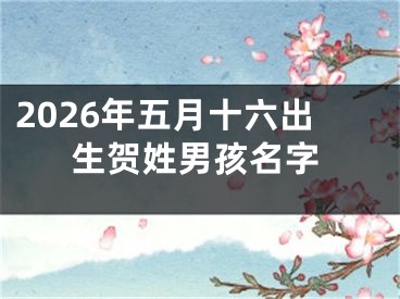 2026年五月十六出生贺姓男孩名字