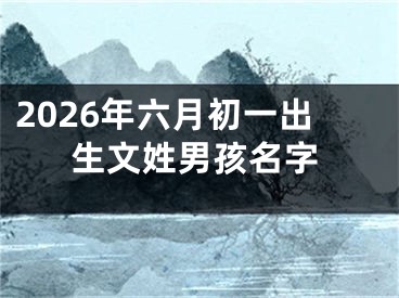 2026年六月初一出生文姓男孩名字