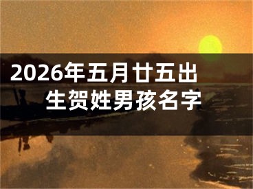 2026年五月廿五出生贺姓男孩名字