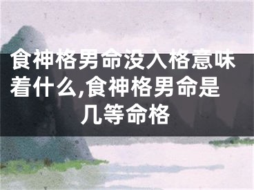 食神格男命没入格意味着什么,食神格男命是几等命格