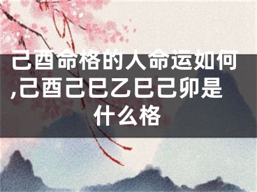 己酉命格的人命运如何,己酉己巳乙巳己卯是什么格