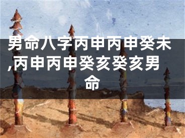 男命八字丙申丙申癸未,丙申丙申癸亥癸亥男命