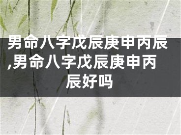 男命八字戊辰庚申丙辰,男命八字戊辰庚申丙辰好吗