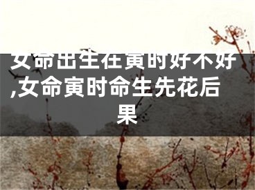 女命出生在寅时好不好,女命寅时命生先花后果