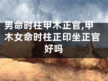 男命时柱甲木正官,甲木女命时柱正印坐正官好吗