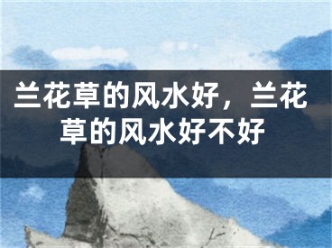 兰花草的风水好,兰花草的风水好不好