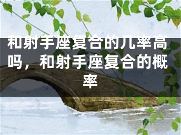 和射手座复合的几率高吗，和射手座复合的概率